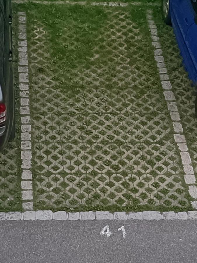 Ferienwohnung Sonnenkalb Todtmoos Exterior foto